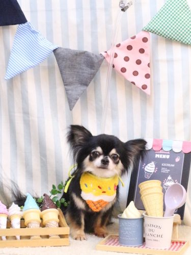 20250521アリューくん